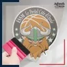 stickers sous film transfert blason basketball - ESSM Le Portel Côte d'Opale